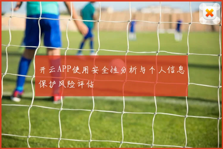 开云APP使用安全性分析与个人信息保护风险评估