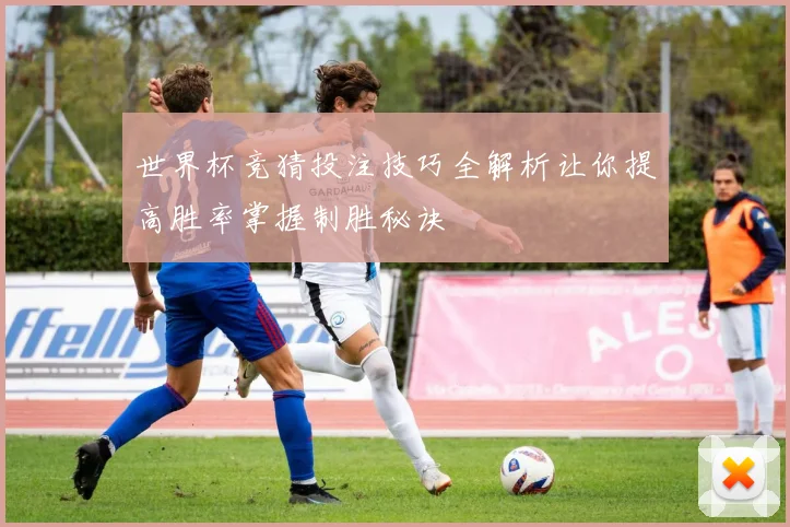 世界杯竞猜投注技巧全解析让你提高胜率掌握制胜秘诀